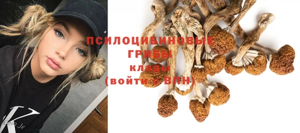 дурь Каменногорск