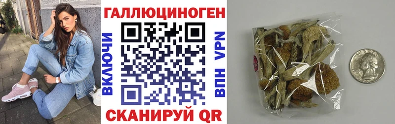 Псилоцибиновые грибы прущие грибы  Купить где  Волгореченск 